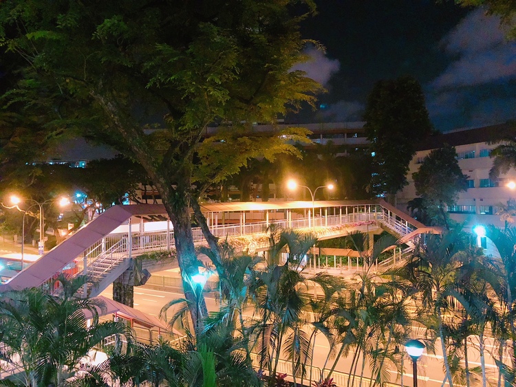 Blk 120 Bukit Merah View (Bukit Merah), HDB 4 Rooms #166871762